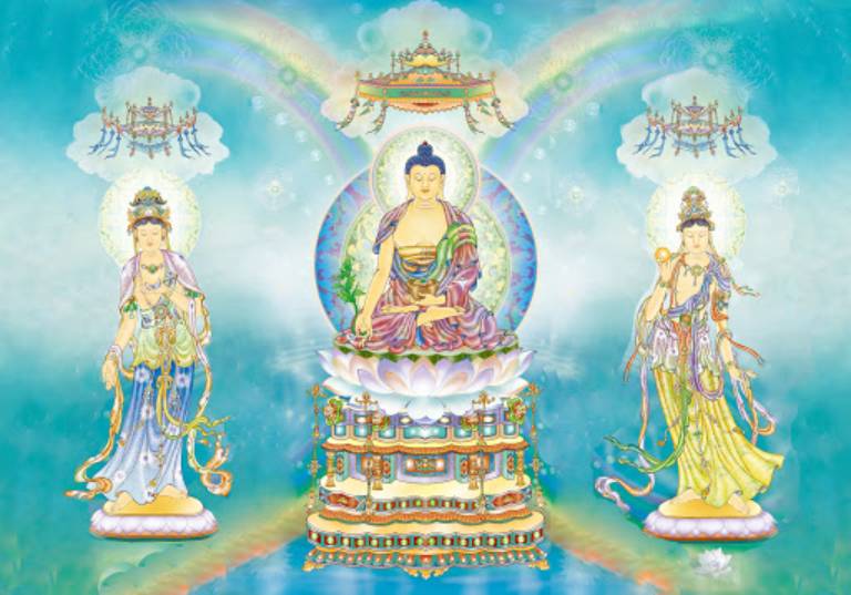 Phật Dược Sư là đấng Y vương Toàn Giác có thể diệt trừ vô lượng tật khổ cho chúng sanh