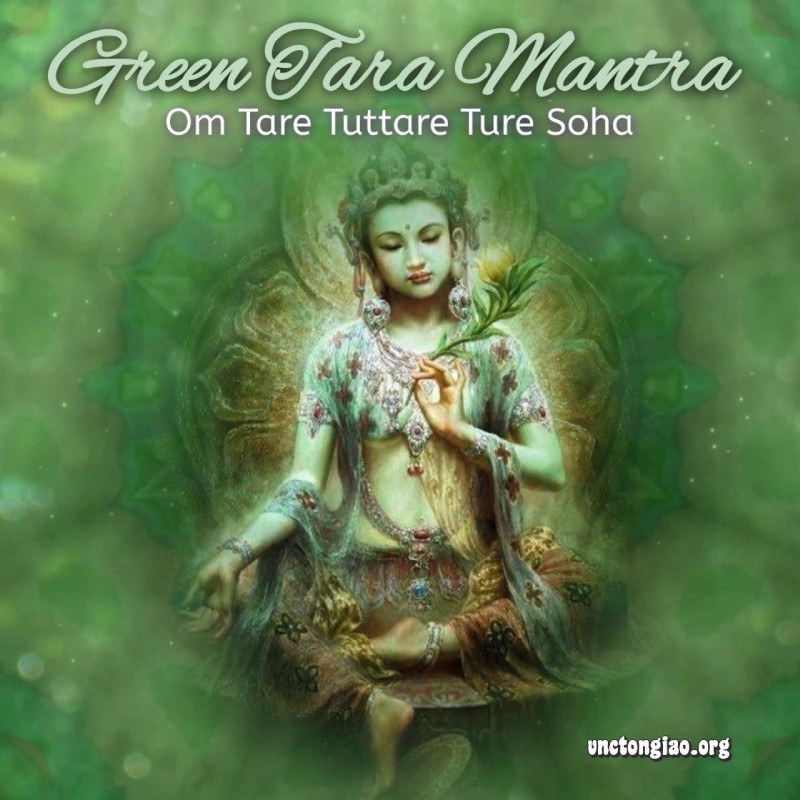 Đức Tara là nêu biểu của từ bi, trí tuệ, sự gia trì đến mọi chúng sinh