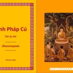 Kinh Pháp Cú là thuộc Tiểu Bộ Kinh, gồm 26 phẩm và 432 bài kệ